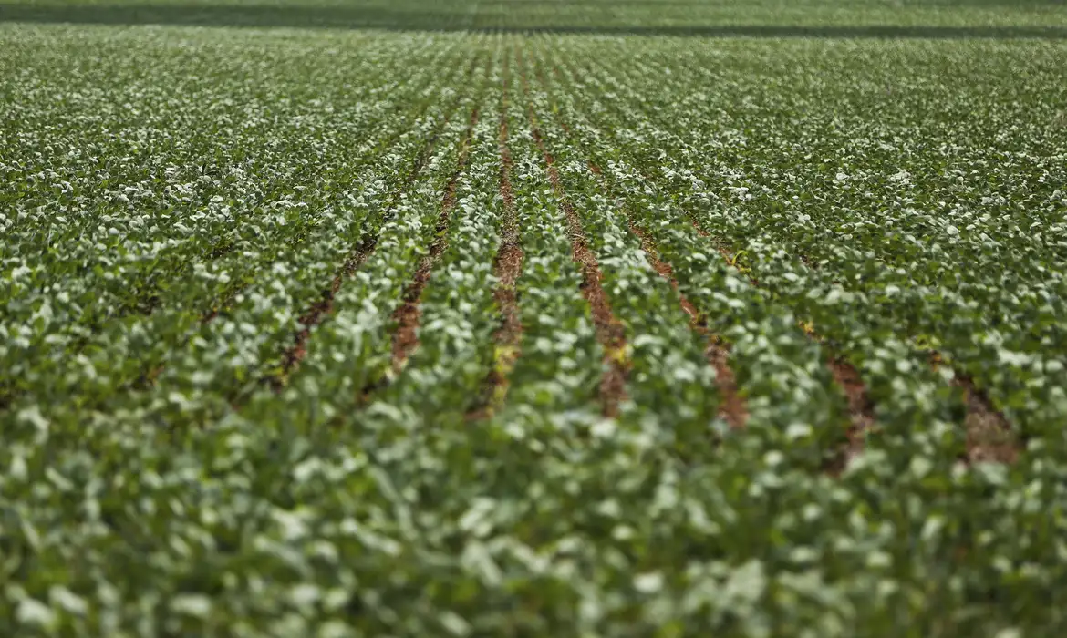 Entenda impasse entre bancada do agro e governo sobre dívidas rurais